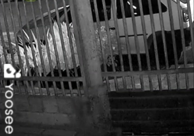 Imagem da notícia Vídeo mostra execução de mãe e filho dentro de casa em Paranaíba